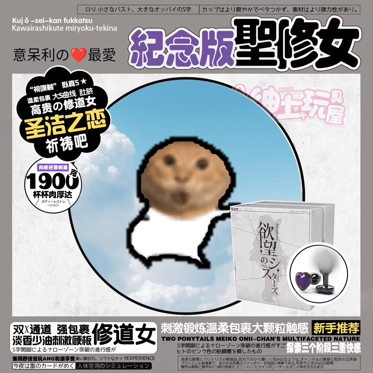 meme fleshlight_commemorative_edition_saint_sister